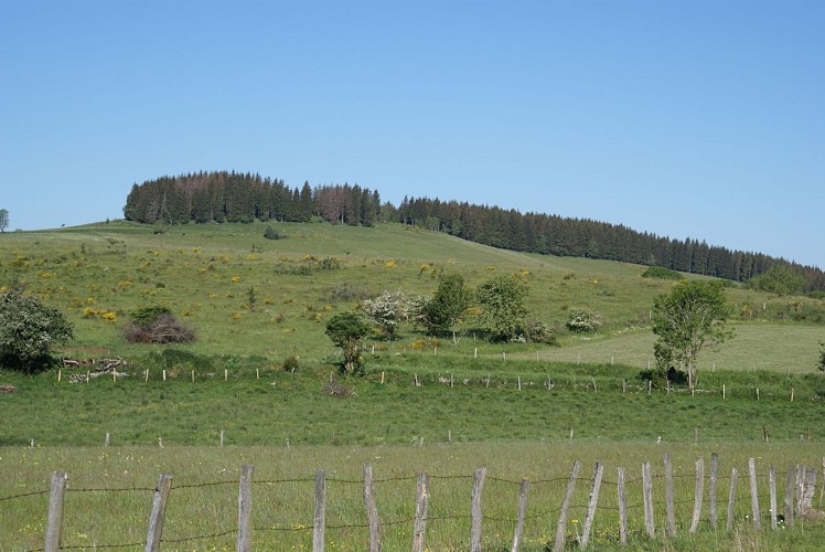 Circuit VTT no 14 Les Hauts de Pierrefort