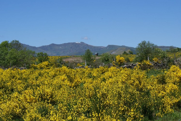 Circuit VTT no 14 Les Hauts de Pierrefort