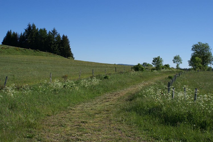 Circuit VTT no 14 Les Hauts de Pierrefort