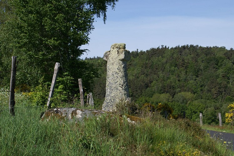 Circuit VTT aux portes de l'Aubrac