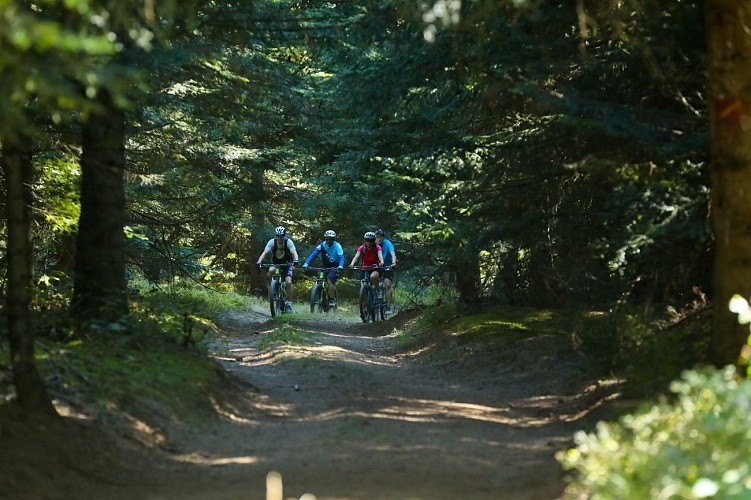 VTT Dans les bois cantal