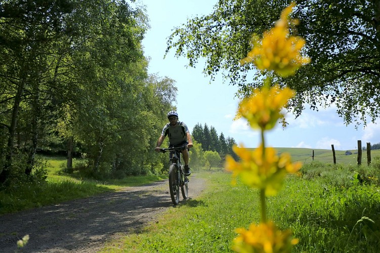 VTT sur les chemins cantal