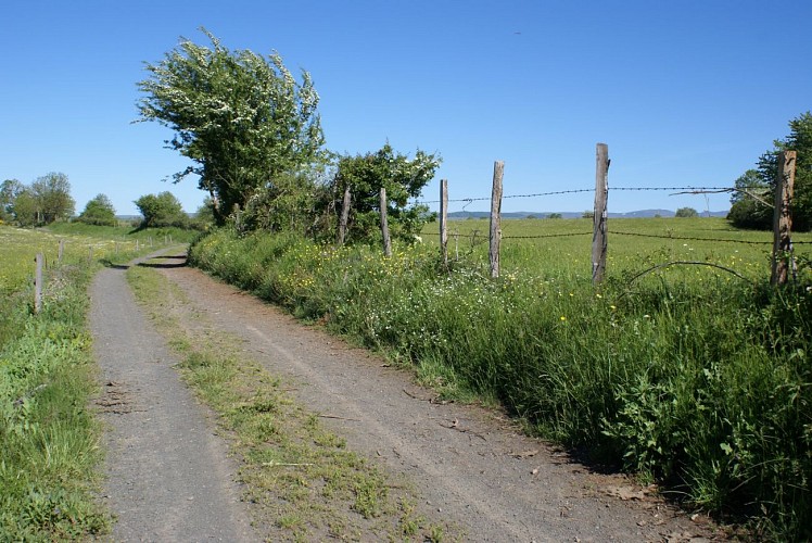 Circuit VTT n°8 : Le Brâme du Cerf_Pierrefort