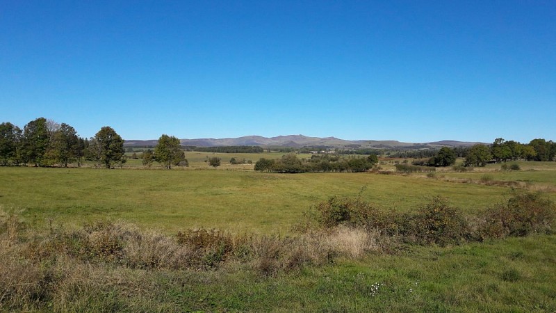 Circuit VTT n°8 : Le Brâme du Cerf_Pierrefort