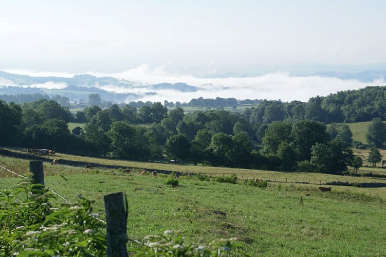 Circuit VTT n°8 : Le Brâme du Cerf_Pierrefort