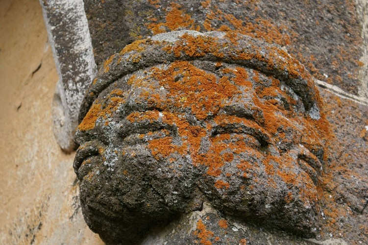 Circuit VTT n°8 : Le Brâme du Cerf_Pierrefort