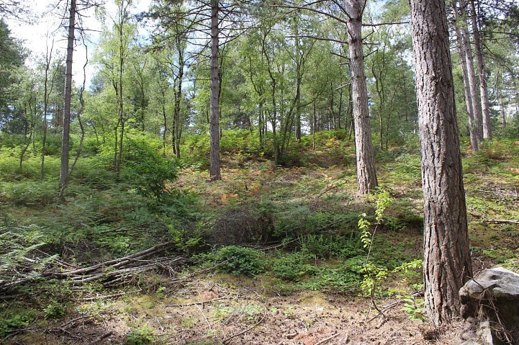 Le parcours nature de Lévignen
