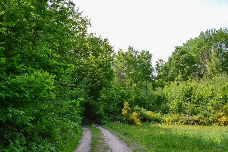 Le parcours nature de Lévignen
