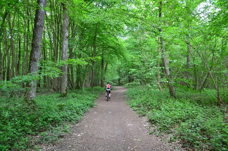 Le parcours nature de Lévignen