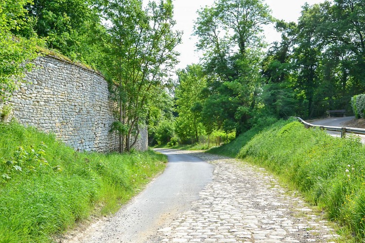 Autour du Château de Versigny