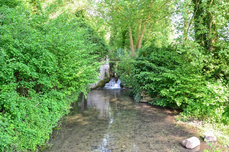 Autour du Château de Versigny
