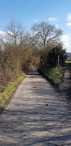 Au départ du Fort, traversez chemins, vignes et lieux-dits de Flémalle