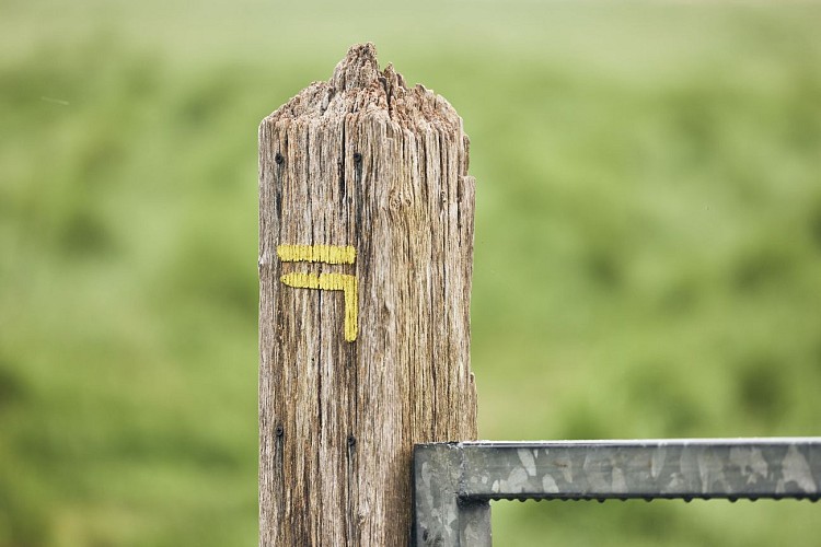 Circuit Le havre de la Sienne - Regnéville-sur-Mer / Montmartin-sur-Mer