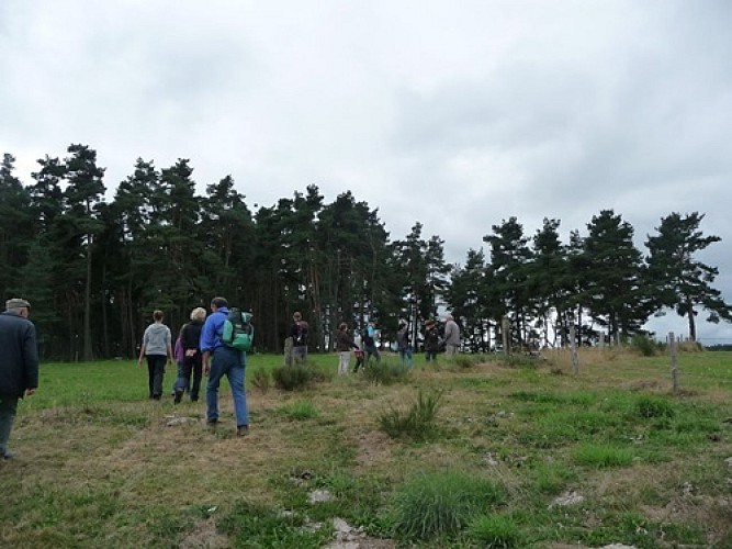 Chemin des Résistants