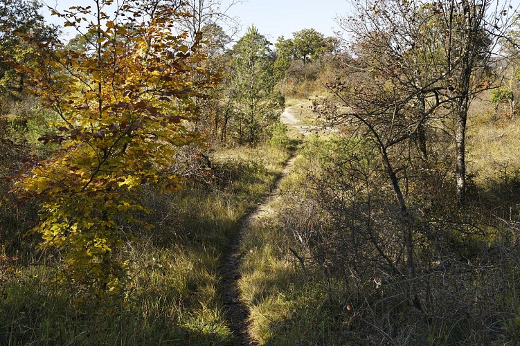Perspective de Maintenon trail