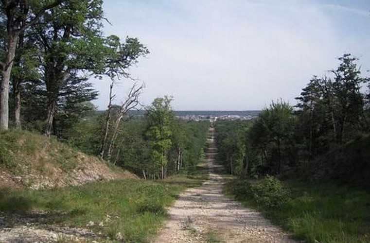 Perspective de Maintenon trail