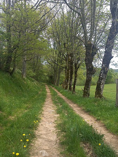 Randonnée cascade de maleval oradour