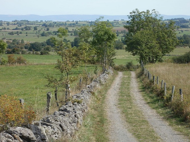 n redescendant du Puy Boussac-Les Terres de Tajenac et la Planèze