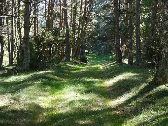 Randonnée Le Moulin de la Combe