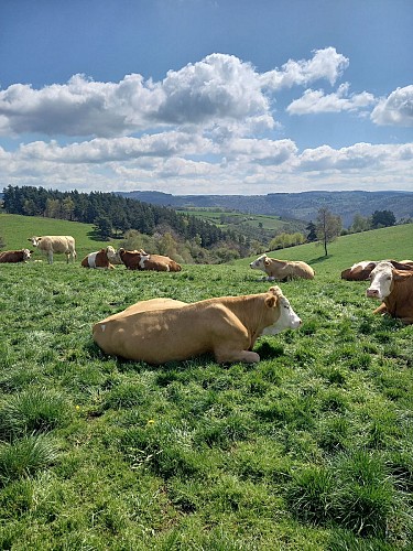 Randonnée Magnac - Fridefont