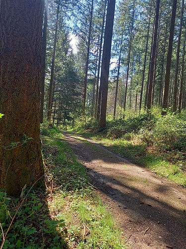 Randonnée Magnac - Fridefont