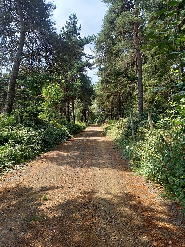 Randonnée les Ivergnes - Montchamp