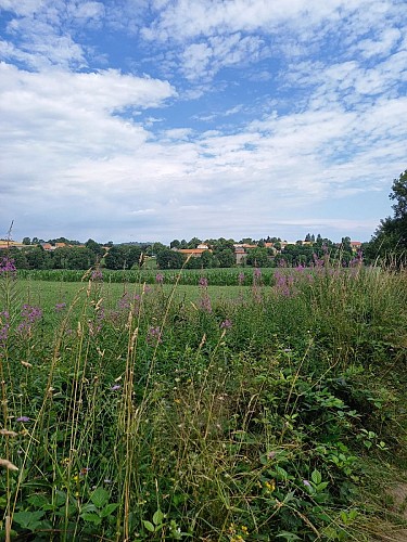 Randonnée les Ivergnes - Montchamp