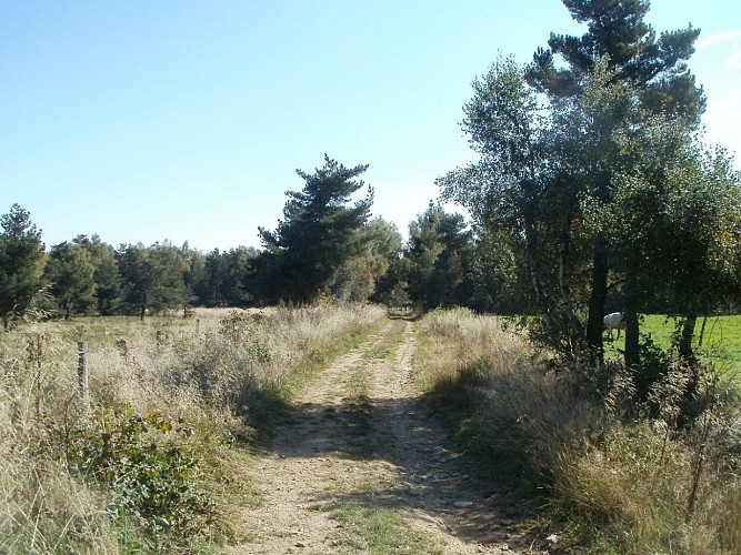 Les Ivergnes
