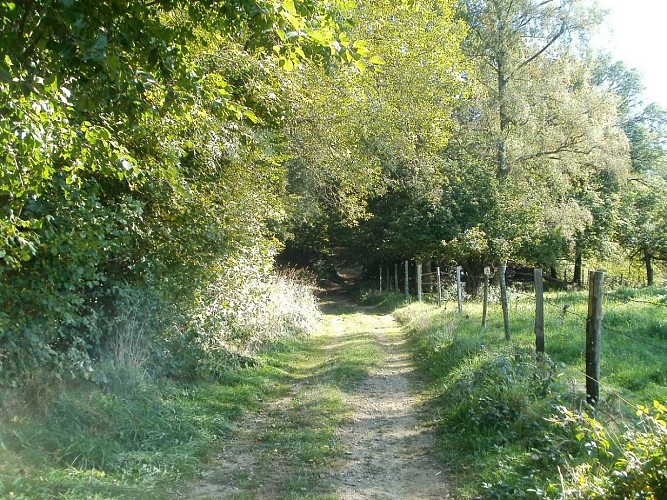 La Vallée des Trompettes