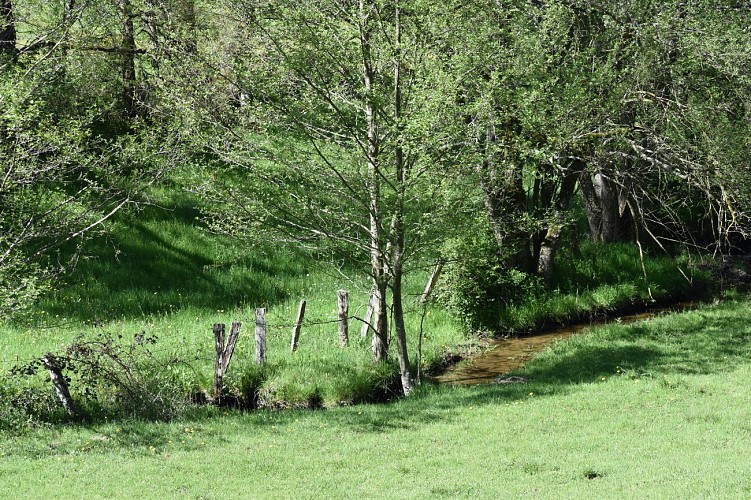 Randonnée La Fromentale - Anglards de Saint-Flour