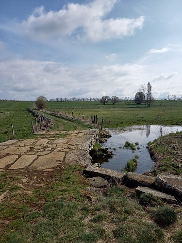 Randonnée les mégalithes sur la planeze de saint-flour