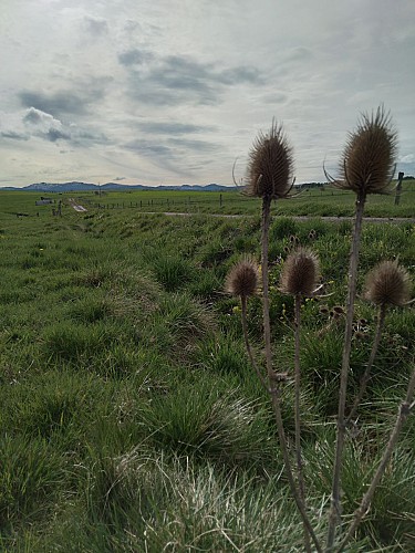 Randonnée pierre et planeze à coltines