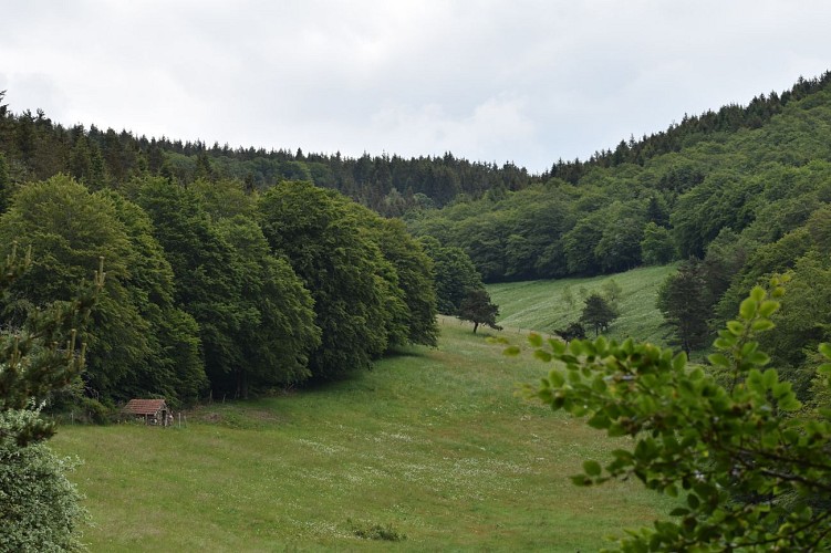 Rando - La Croix de la Paille-Clavières-Margeride-Cantal-Auvergne