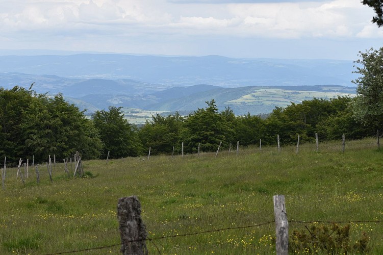 Rando - La Croix de la Paille-Clavières-Margeride-Cantal-Auvergne