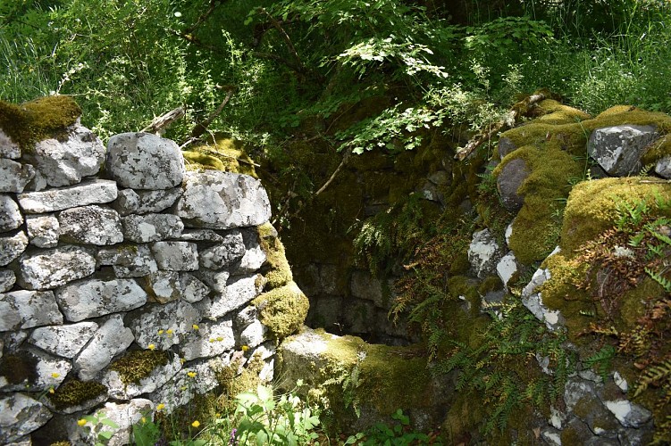 Le chemin des écoliers de Montchanson-Val d'Arcomie-Margeride-Cantal-Auvergne