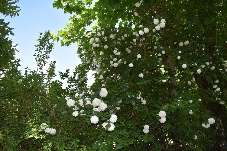 Le chemin des écoliers de Montchanson-Val d'Arcomie-Margeride-Cantal-Auvergne