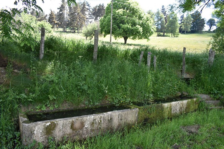 Le chemin des écoliers de Montchanson-Val d'Arcomie-Margeride-Cantal-Auvergne