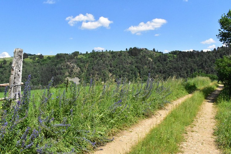 Randonnée Clavières d'Outre-Loubaresse-Margeride-Cantal-Auvergne
