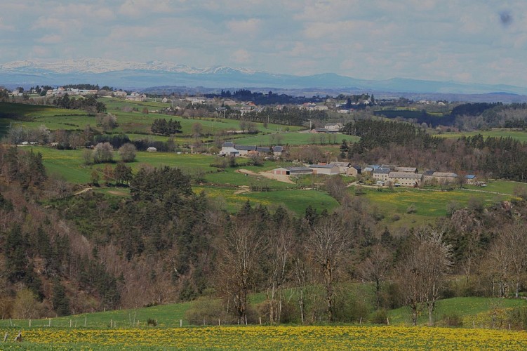 La Vallée de la Truyère-Loubaresse