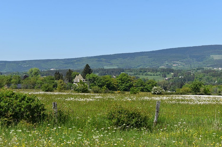 Le Chemin des écoliers de Signalauze-Ruynes-Margeride-Cantal-Auvergne