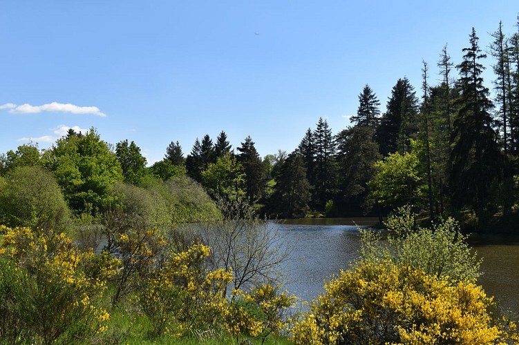 Le Chemin des écoliers de Signalauze-Ruynes-Margeride-Cantal-Auvergne