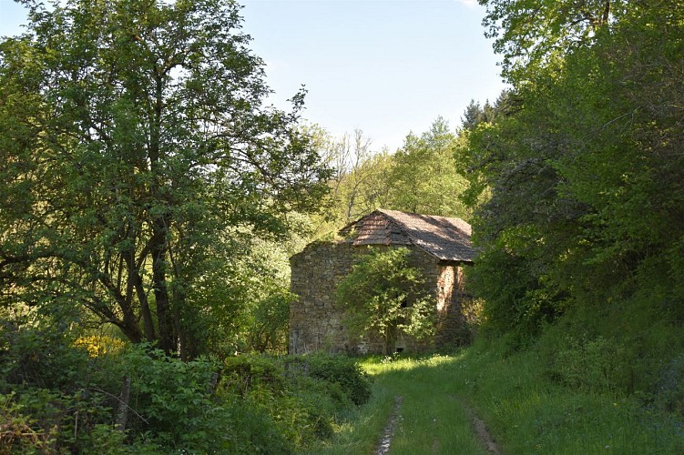 Le Chemin des écoliers de Signalauze-Ruynes-Margeride-Cantal-Auvergne