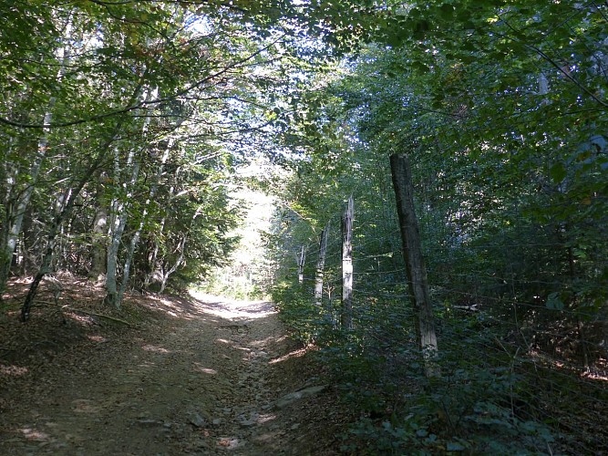 Le Signal-chemin-ruynes-margeride-cantal-auvergne