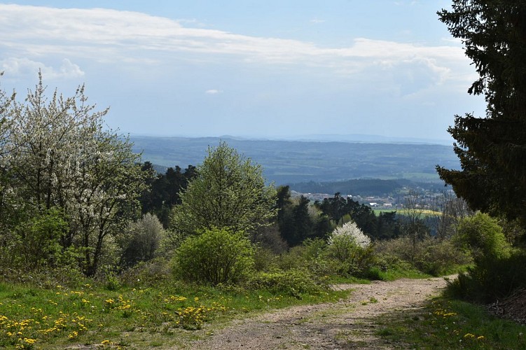 Le Signal-Margeride-Cantal-Auvergne