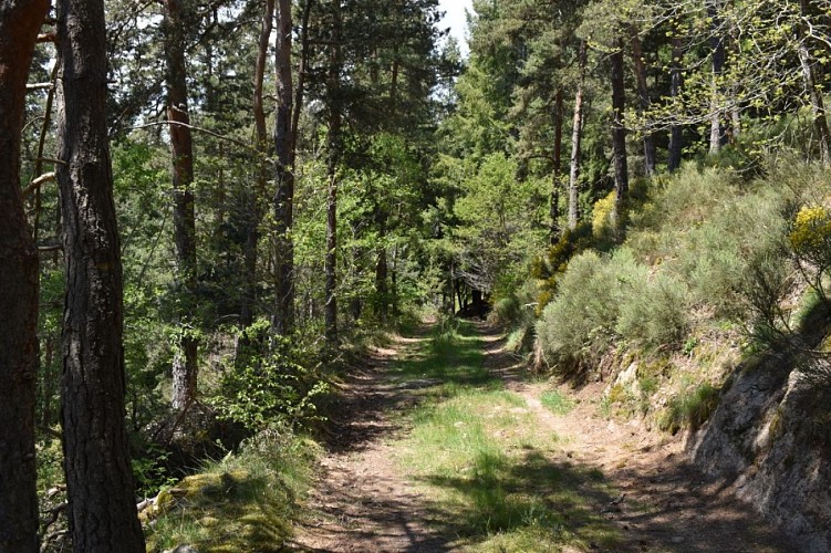 Cheminn des écoliers Saint-Just-Margeride-Cantal-Auvergne