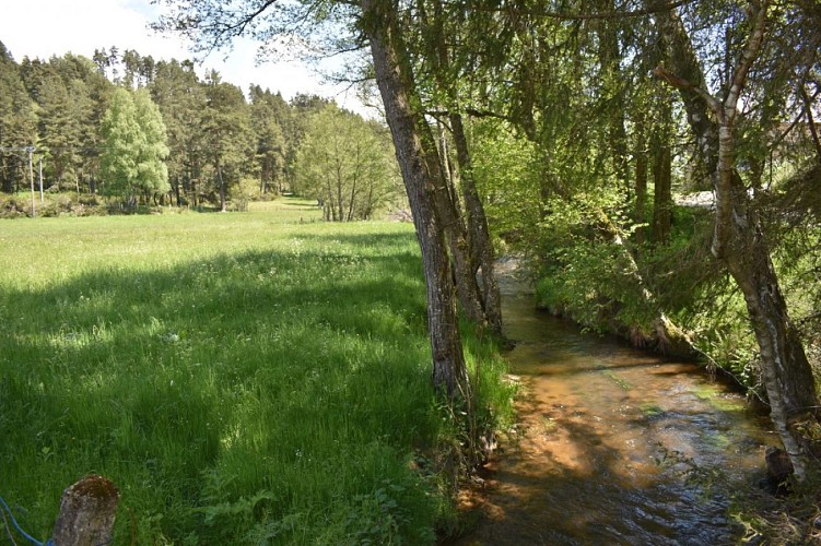 Cheminn des écoliers Saint-Just-Margeride-Cantal-Auvergne