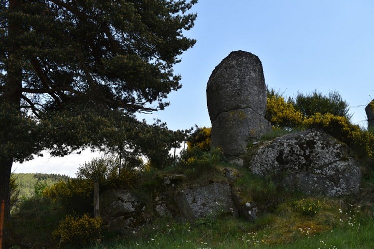 Cheminn des écoliers Saint-Just-Margeride-Cantal-Auvergne