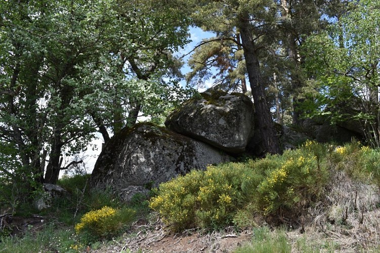 Cheminn des écoliers Saint-Just-Margeride-Cantal-Auvergne