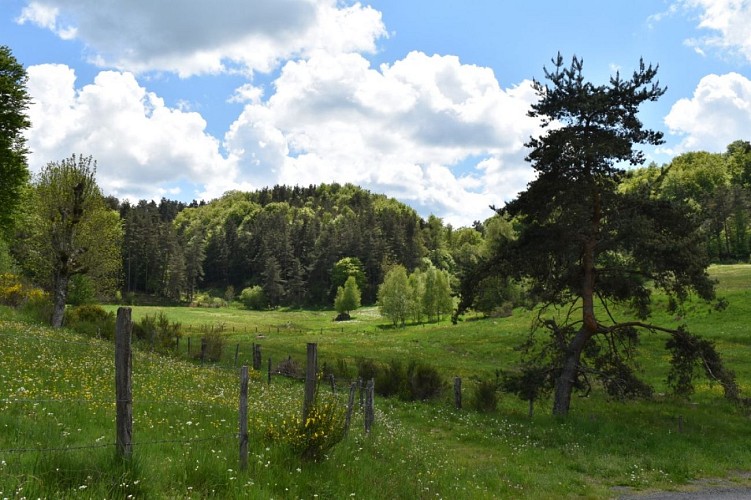 Cheminn des écoliers Saint-Just-Margeride-Cantal-Auvergne