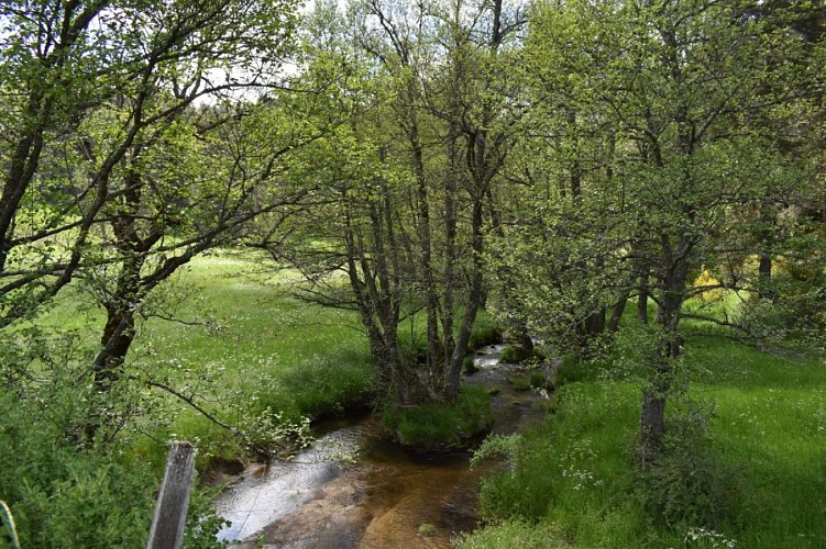 Cheminn des écoliers Saint-Just-Margeride-Cantal-Auvergne